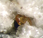 Eifel Mineralien Mendig Titanit