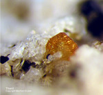 Eifel Mineralien Mendig Titanit