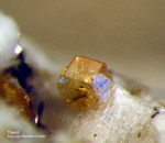 Eifel Mineralien Mendig Titanit