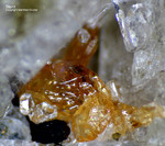 Eifel Mineralien Mendig Titanit