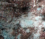 Eifel Mineralien Münsterbusch Stolberg Serpierit