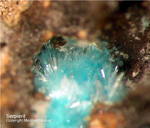 Eifel Mineralien Münsterbusch Stolberg Serpierit