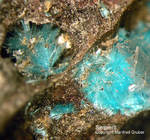 Eifel Mineralien Münsterbusch Stolberg Serpierit