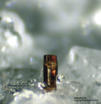 Österreich Mineralien Rauris Lohninger Bruch Aeschynit-(Y)