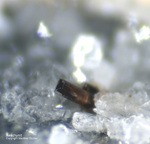 Österreich Mineralien Rauris Lohninger Bruch Aeschynit-(Y)