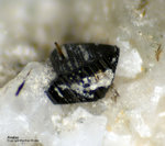 Österreich Mineralien Rauris Lohninger Bruch Anatas