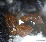 Österreich Mineralien Rauris Lohninger Bruch Anatas