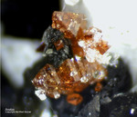 Österreich Mineralien Rauris Lohninger Bruch Anatas