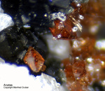 Österreich Mineralien Rauris Lohninger Bruch Anatas