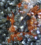 Österreich Mineralien Rauris Lohninger Bruch Anatas