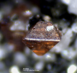 Österreich Mineralien Rauris Lohninger Bruch Anatas