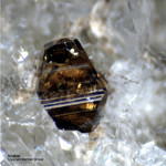 Österreich Mineralien Rauris Lohninger Bruch Anatas