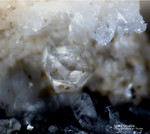 Österreich Mineralien Rauris Lohninger Bruch Apatit