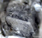 Österreich Mineralien Rauris Lohninger Bruch Calcit