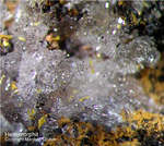 Griechenland Lavrion Mineralien Barbara Hemimorphit