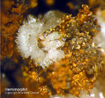 Griechenland Lavrion Mineralien Barbara Hemimorphit