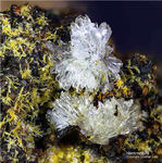 Griechenland Lavrion Mineralien Barbara Hemimorphit