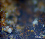 Griechenland Lavrion Mineralien Christiana Attikait