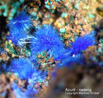 Griechenland Lavrion Mineralien Christiana Azurit