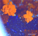 Griechenland Lavrion Mineralien Christiana Azurit