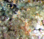 Mineralien Griechenland Lavrion Christiana Gordait