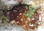 Mineralien Griechenland Lavrion Christiana Tripuhyit