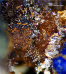 Mineralien Griechenland Lavrion Christiana Tripuhyit