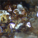 Mineralien Griechenland Lavrion Christiana Tripuhyit