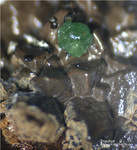 Mineralien Griechenland Lavrion Christiana Tripuhyit