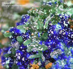 Mineralien Griechenland Lavrion Christiana Olivenit