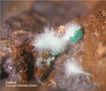 Mineralien Griechenland Lavrion Christiana Zálesíit