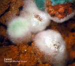 Mineralien Griechenland Lavrion Christiana Zálesíit