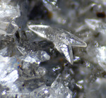 Harz Mineralien Gabbro Calcit