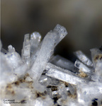 Harz Mineralien Gabbro Laumonit