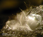 Harz Mineralien Glockenhütte Lanarkit