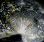 Harz Mineralien Glockenhütte Lanarkit