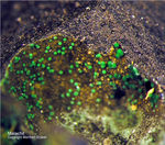 Harz Mineralien Glockenhütte Malachit