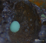 Harz Mineralien Glockenhütte Malachit