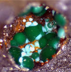 Harz Mineralien Glockenhütte Malachit