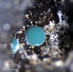 Harz Mineralien Glockenhütte Malachit