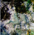 Harz Mineralien Oberschulenberg Glücksrad Brianyoungit