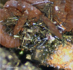 Harz Mineralien Oberschulenberg Pyrit