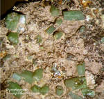 Harz Mineralien Oberschulenberg Pyromorphit