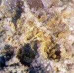 Harz Mineralien Oberschulenberg Pyromorphit