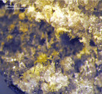 Harz Mineralien Oberschulenberg Mimetesit