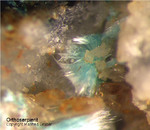 Harz Mineralien Oberschulenberg Orthoserpierit