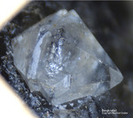 Österreich Mineralien Rauris Lohninger Bruch Bergkristall Quarz