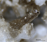 Österreich Mineralien Rauris Lohninger Bruch Klinozoisit