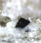 Österreich Mineralien Rauris Lohninger Bruch Magnetit