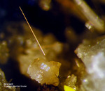 Österreich Mineralien Rauris Lohninger Bruch Monazit